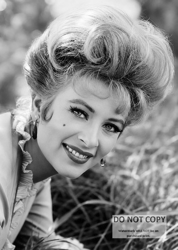 5x7 publicity photo - -, amanda